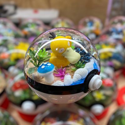 Psyduck Terrarium