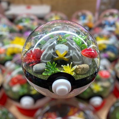 Shiny Metagross Terrarium