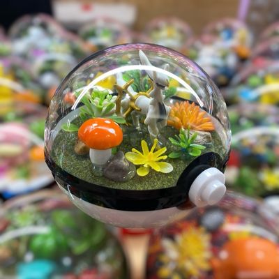 Arceus Terrarium