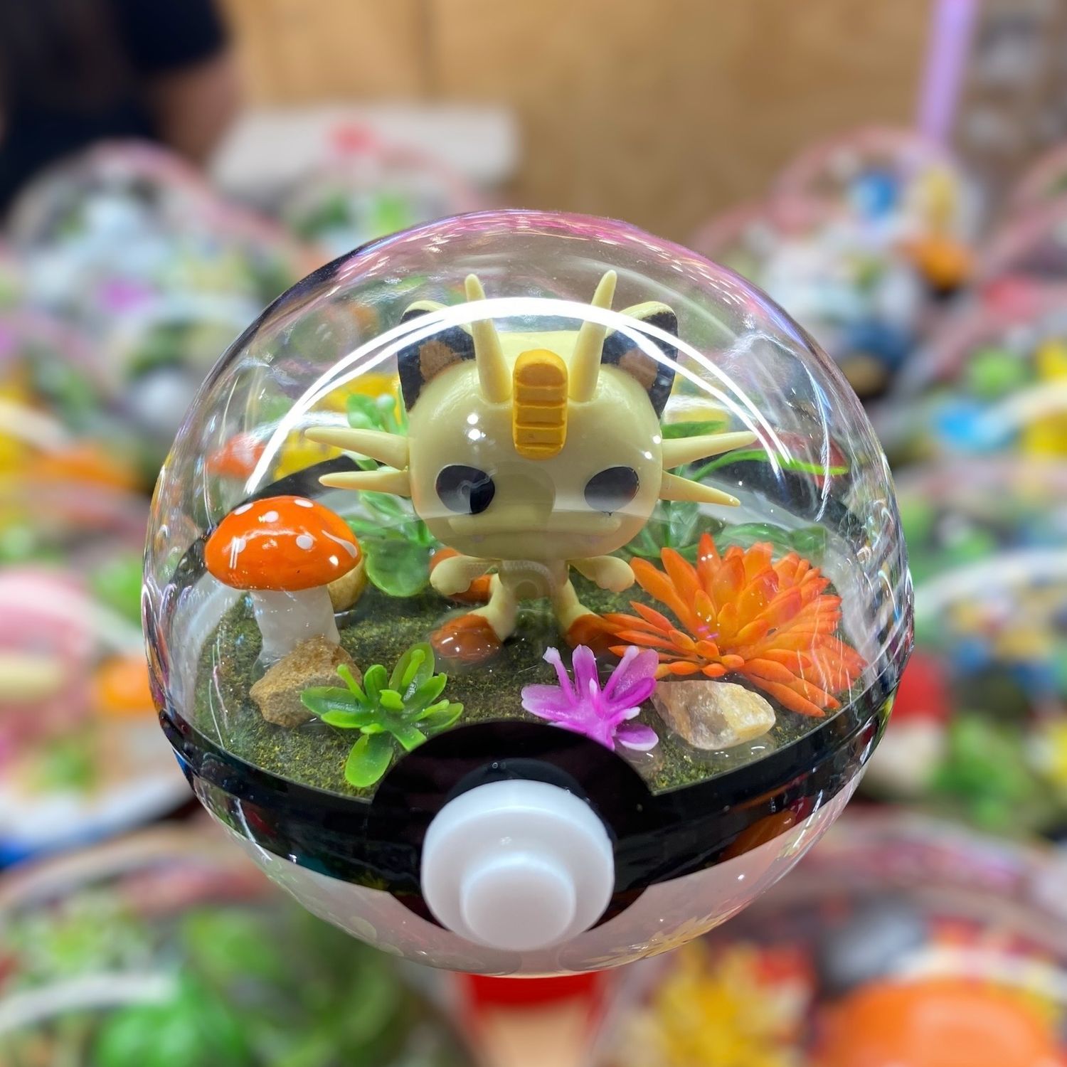 Meowth Terrarium