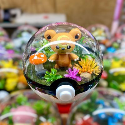 Teddiursa Terrarium