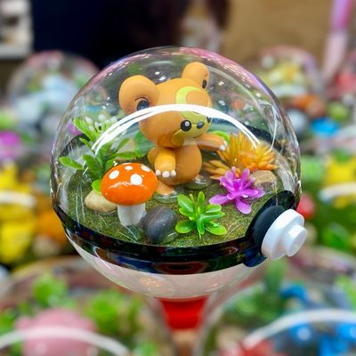 Teddiursa Terrarium