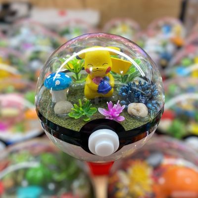 Pikachu Berries Terrarium