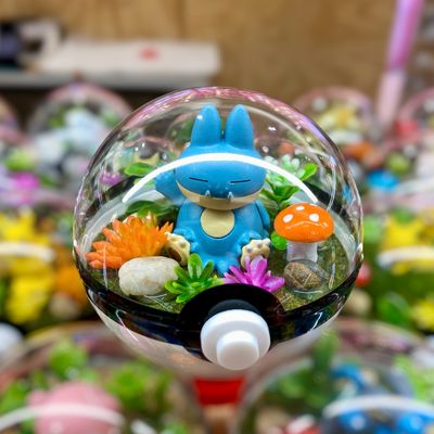 Munchlax Terrarium