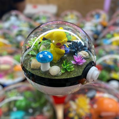 Pikachu Berries Terrarium