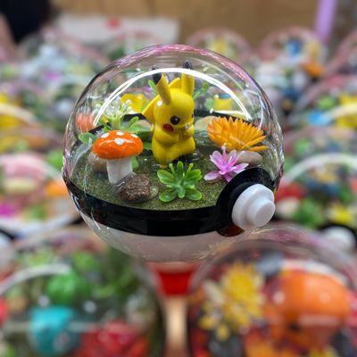 Pikachu Charging Terrarium