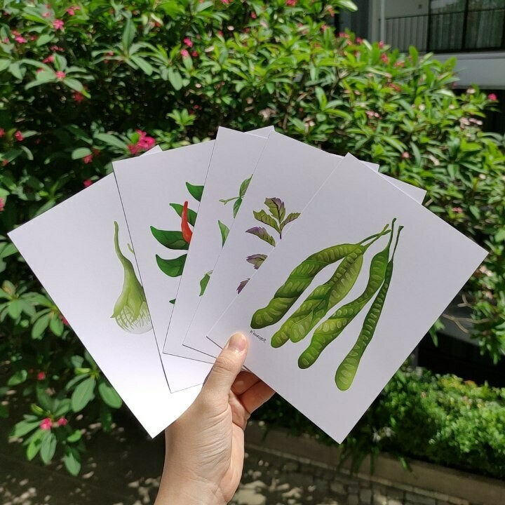 Edible Thai Series- Set of 5 Postcards (5x7)