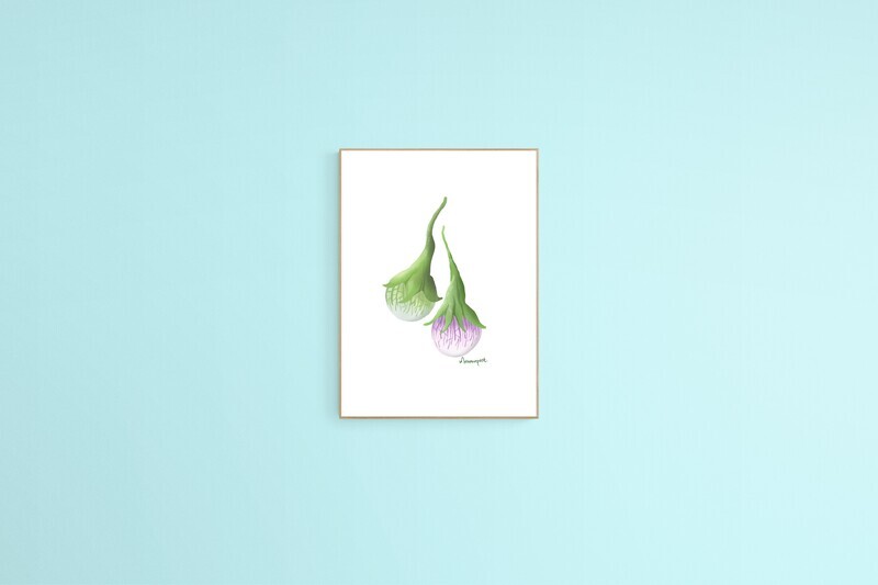 A5 or A4 Giclee print of Thai produce/vegetable series. Great for wall decor or as a gift.