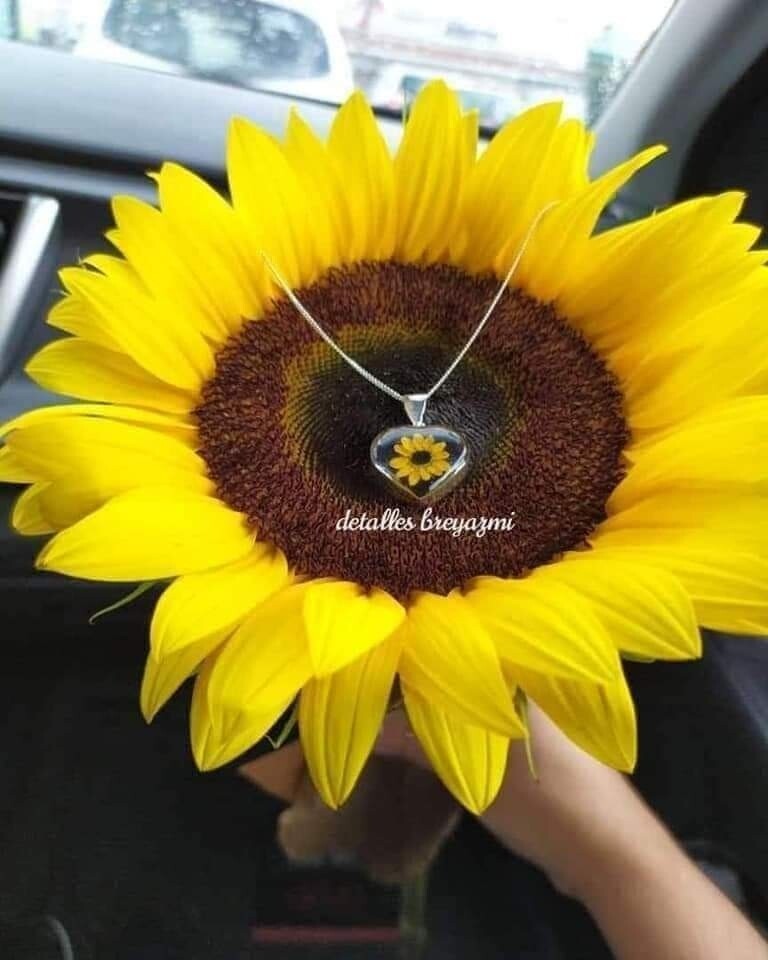 Collar de Plata 100%