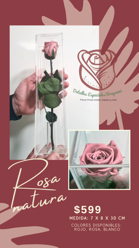 Rosa Natura 30 x 8 x 7 cm