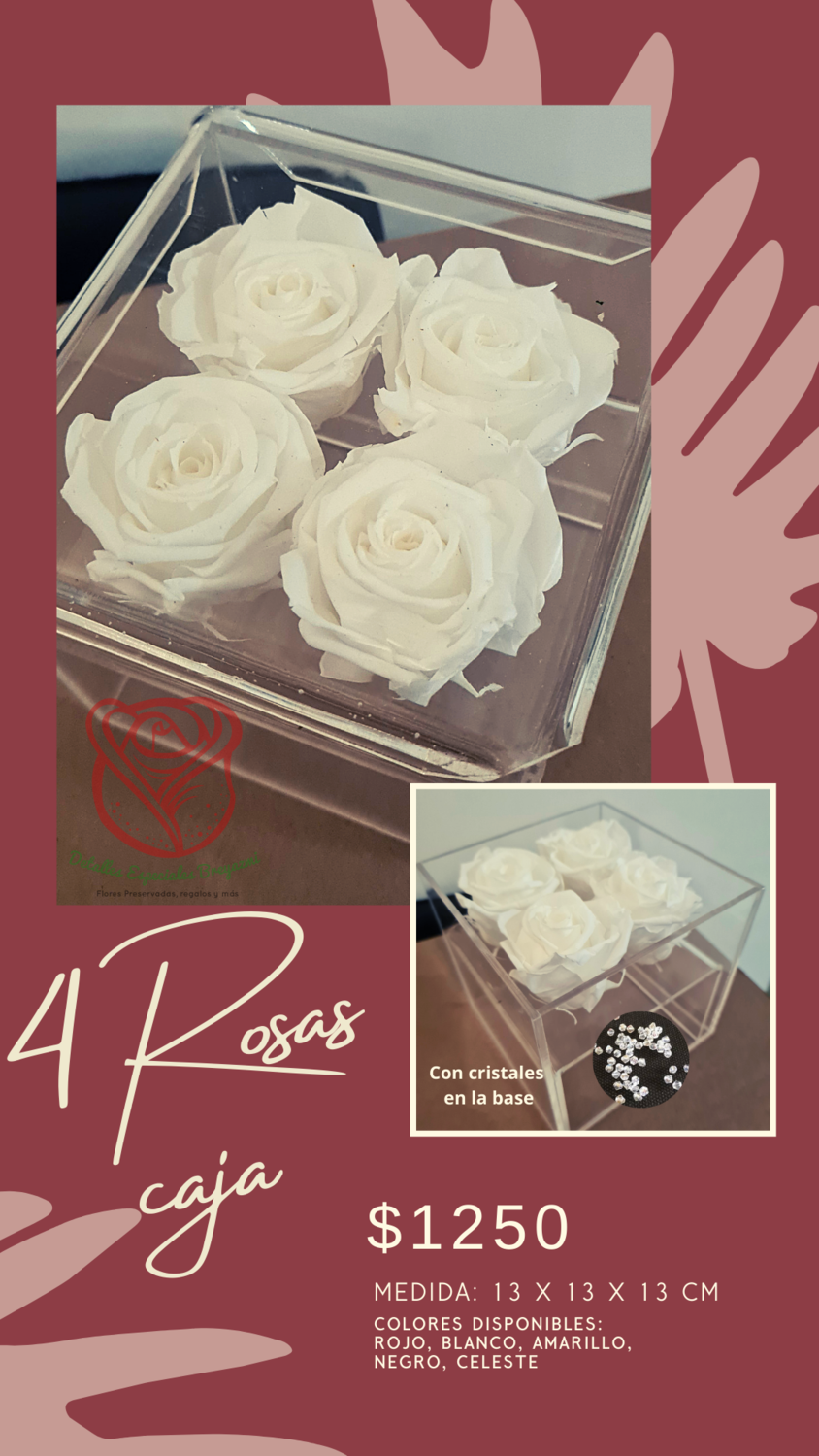 Caja 4 rosas Preservadas
