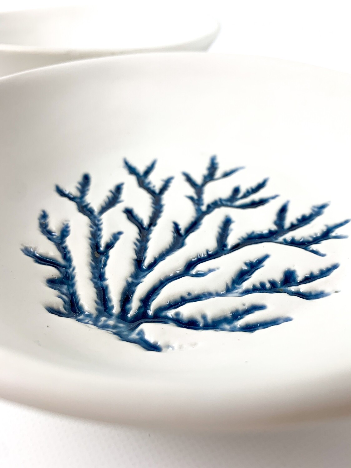 Coral plate