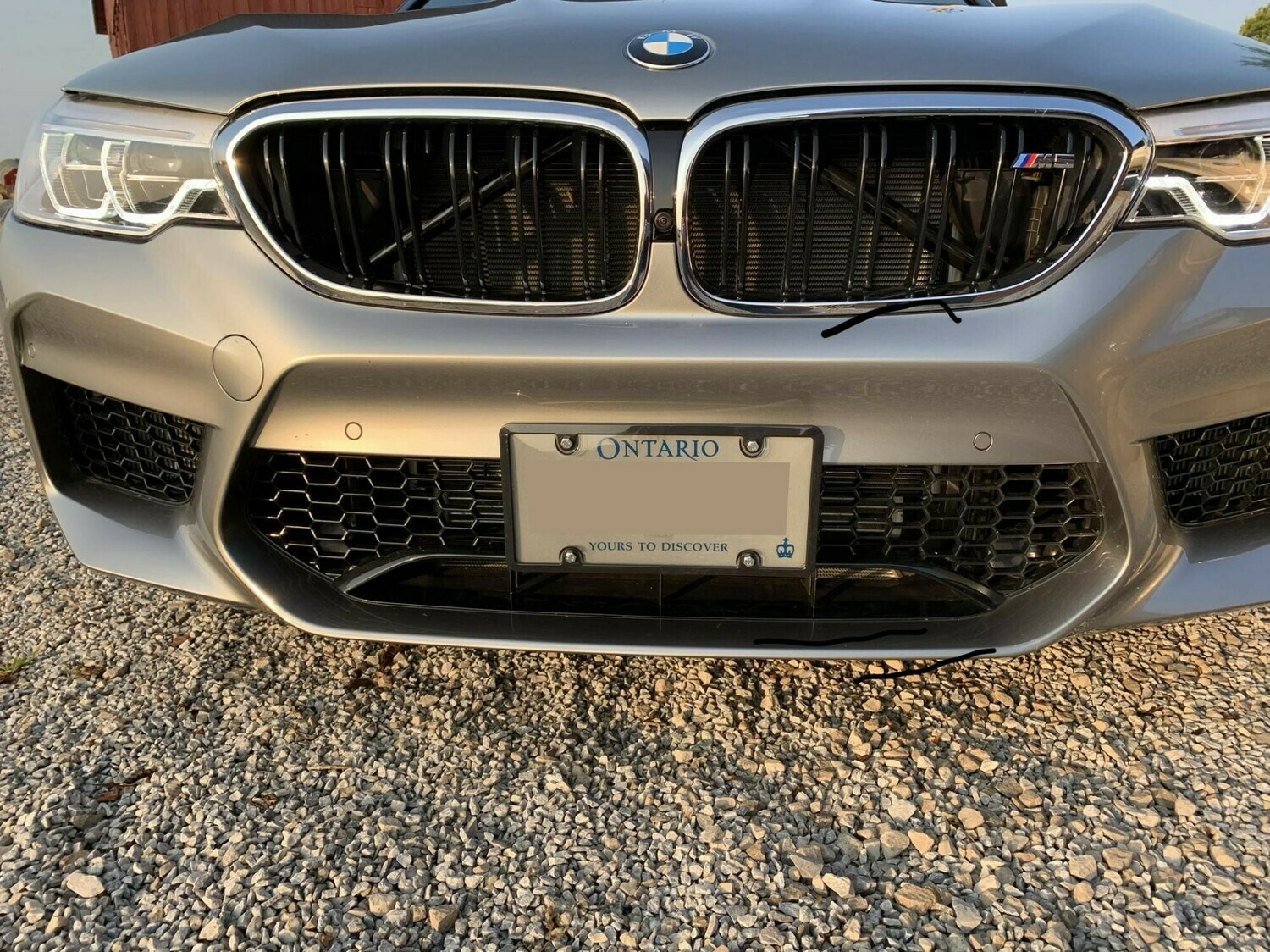 Sly Bracket for BMW models with mesh-style grille.