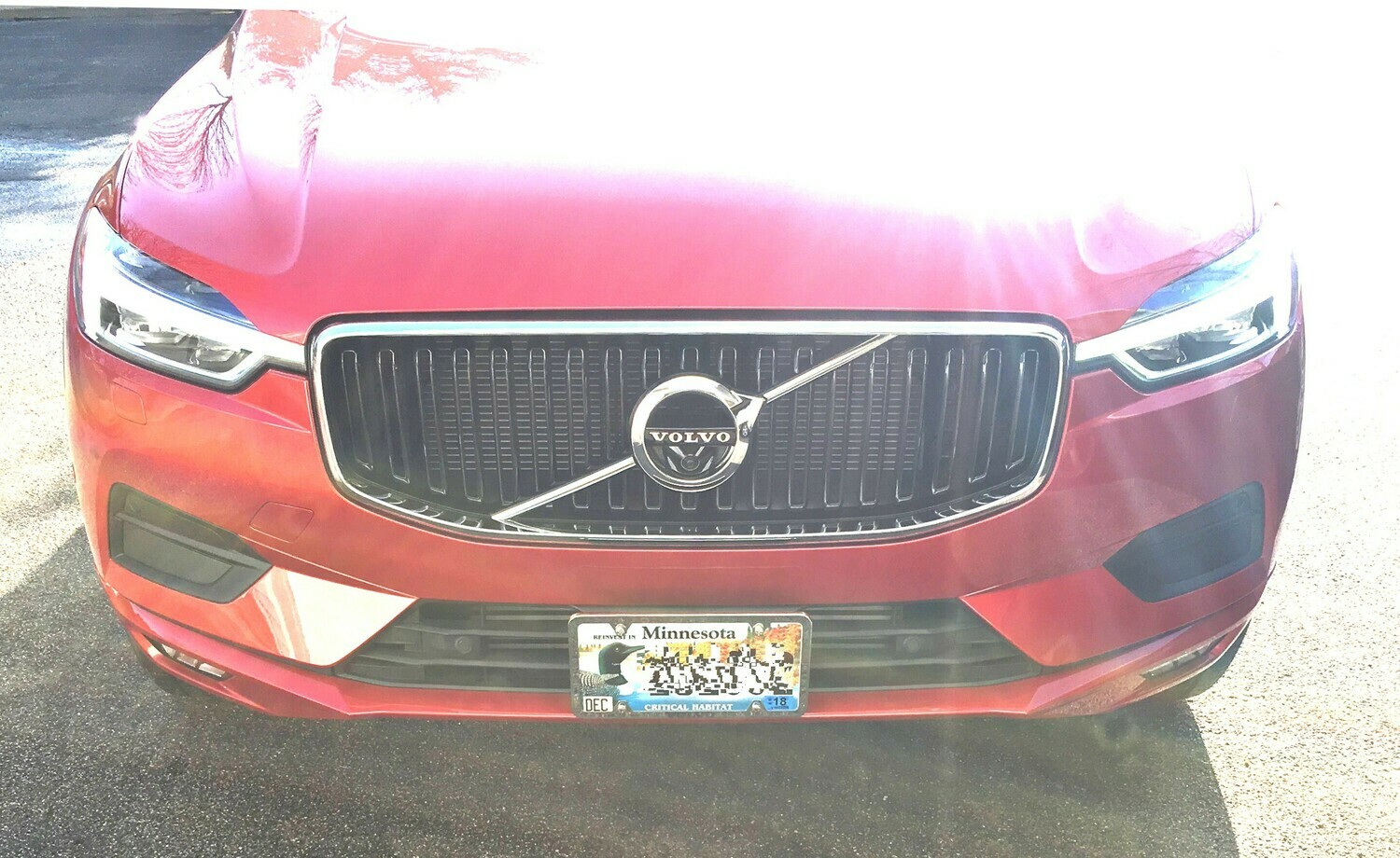 SLY BRACKET FITS VOLVO MODELS WITH HORIZONTAL OR VERTICAL SLATS LOWER GRILLE