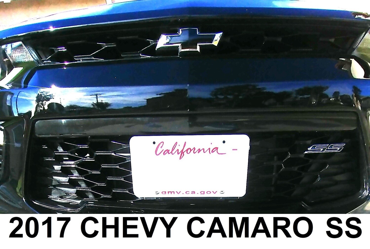 Sly Bracket for Chevrolet models with mesh-style lower grille.
