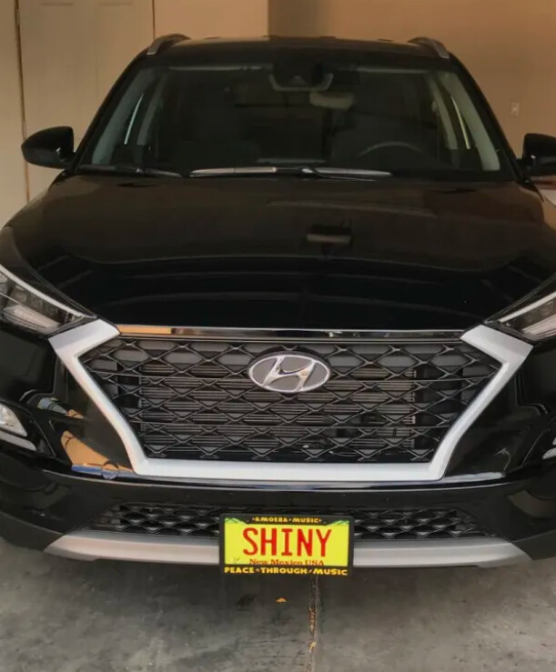 Sly Bracket for Hyundai models with mesh lower grille.