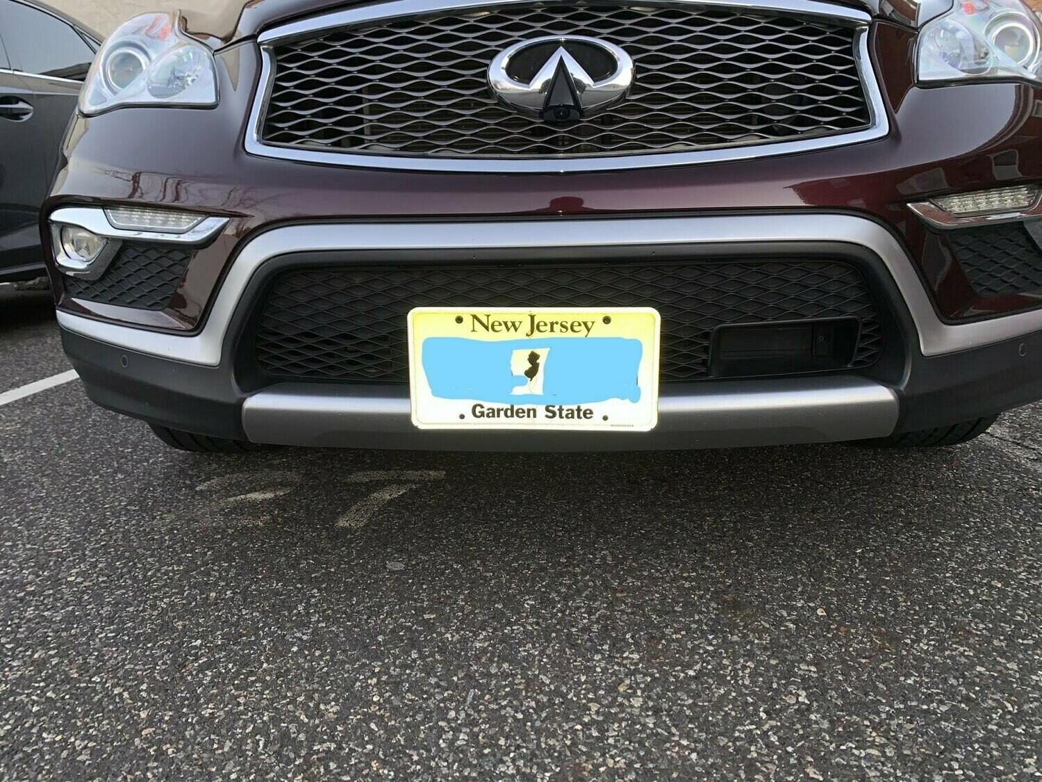 Sly Bracket for Infiniti models with mesh-style lower grille.