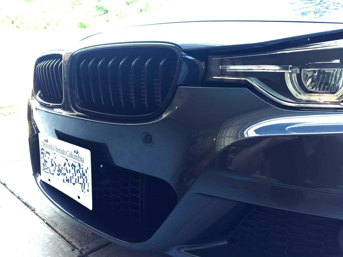 Sly Bracket for BMW models with mesh-style grille.