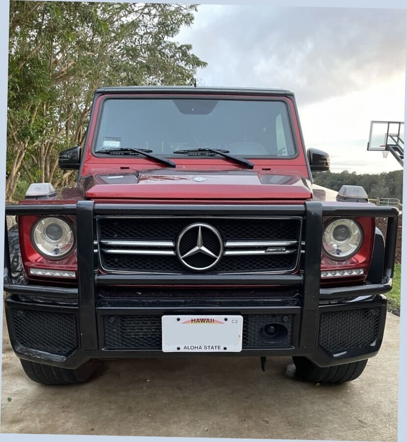 Sly Bracket for Mercedes-Benz models with mesh lower grille.