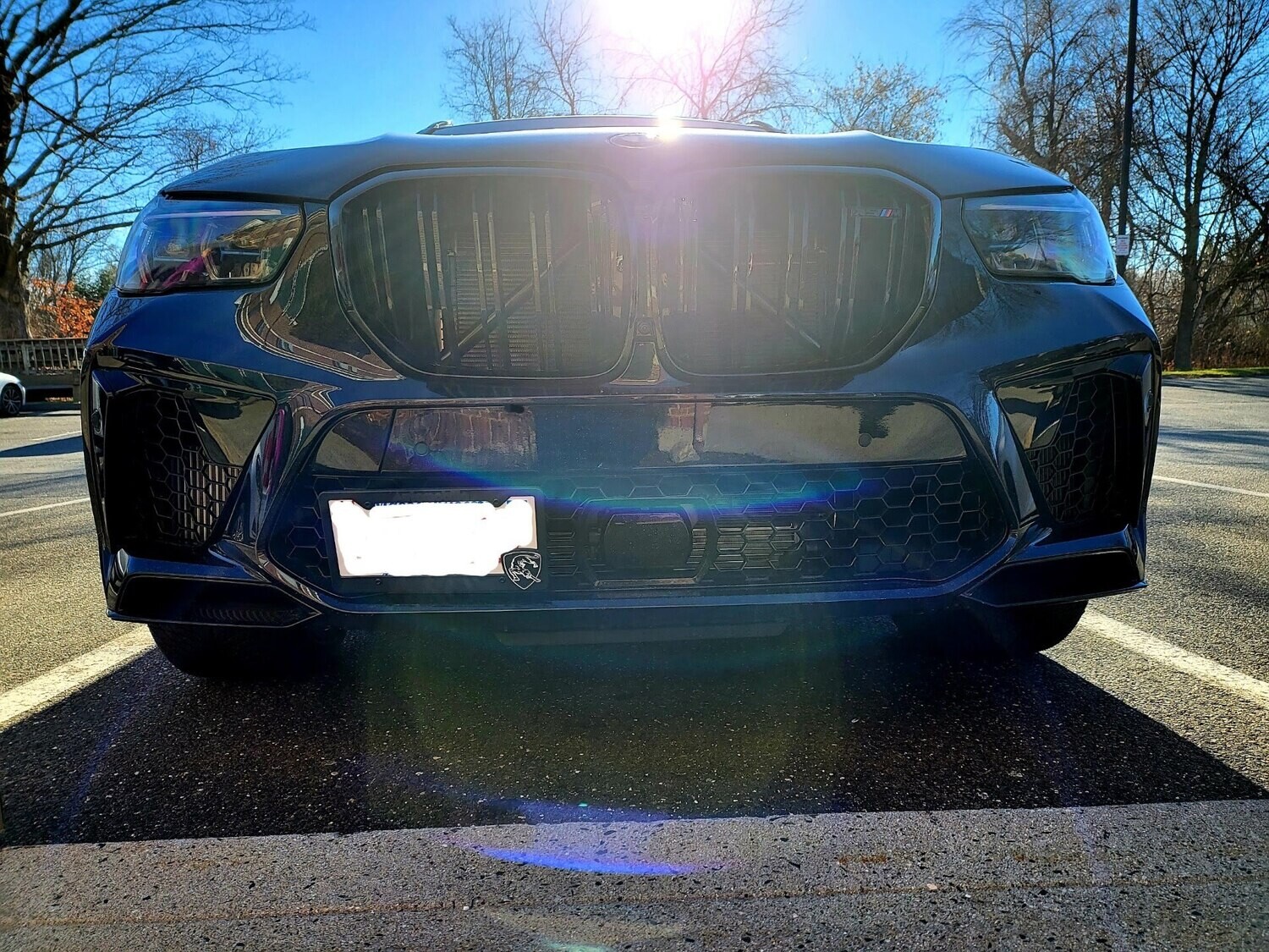 Sly Bracket for BMW models with mesh-style grille.