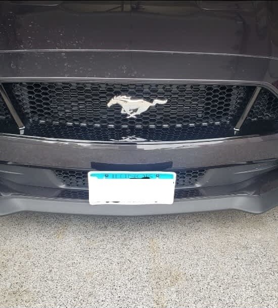 Sly Bracket for Ford Mustang with mesh-style lower grille.