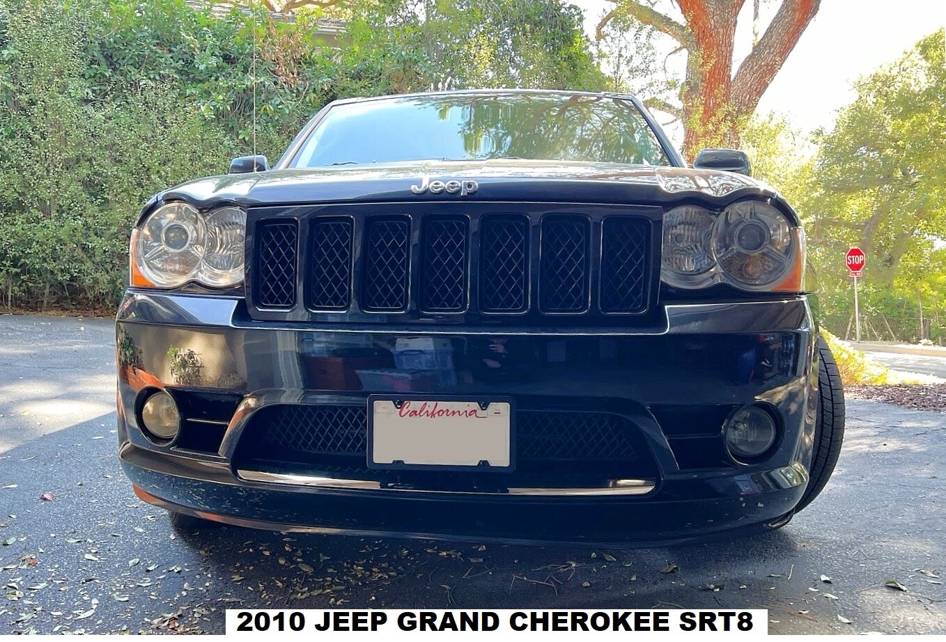 Sly Bracket for Jeep models with mesh-style lower grille.
