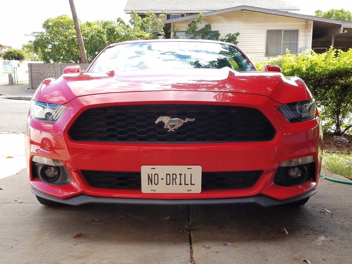 Sly Bracket for Ford Mustang with mesh-style lower grille.