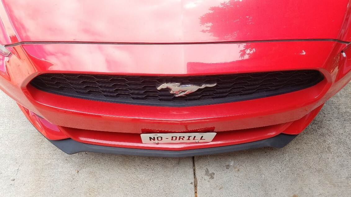 Sly Bracket for Ford Mustang with mesh-style lower grille.