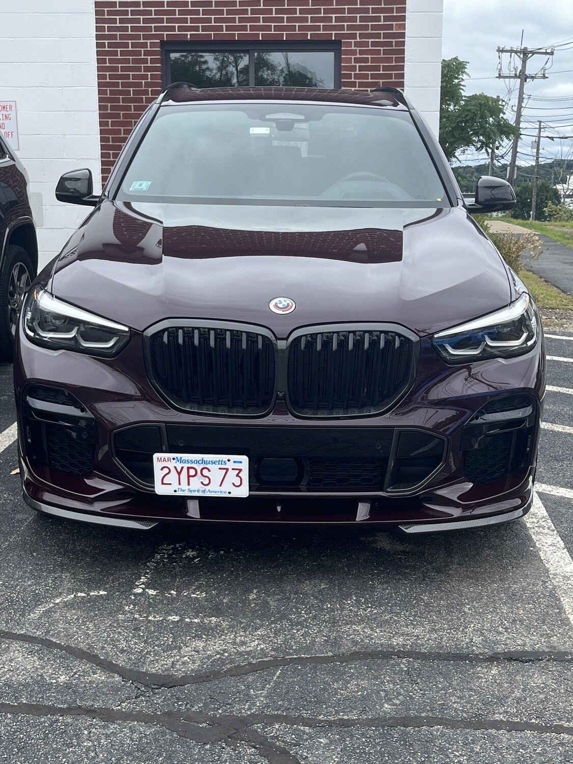 Sly Bracket for BMW X5 with mesh lower grille.
