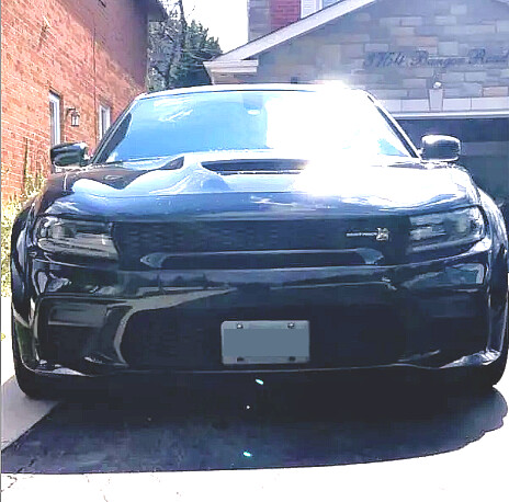 Sly Bracket for Dodge Charger with mesh-style lower grille