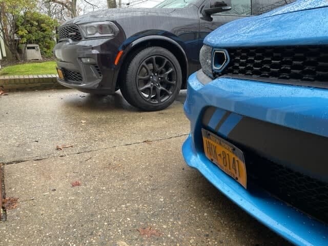 Sly Bracket for Dodge Charger with mesh-style lower grille