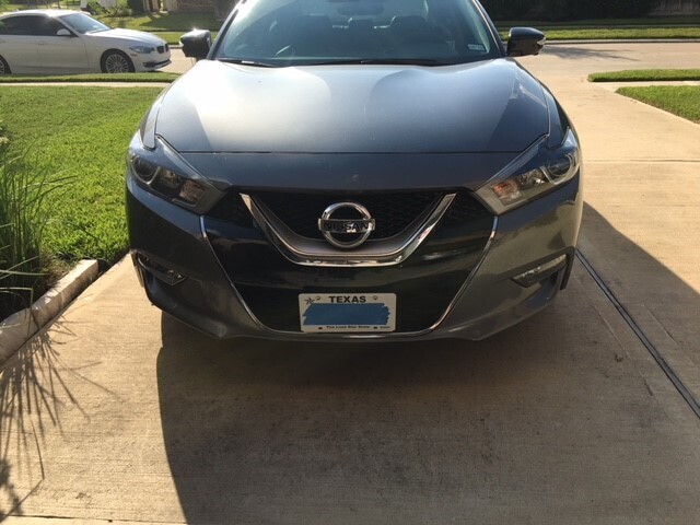 Sly Bracket for Nissan Maxima with mesh lower grille.