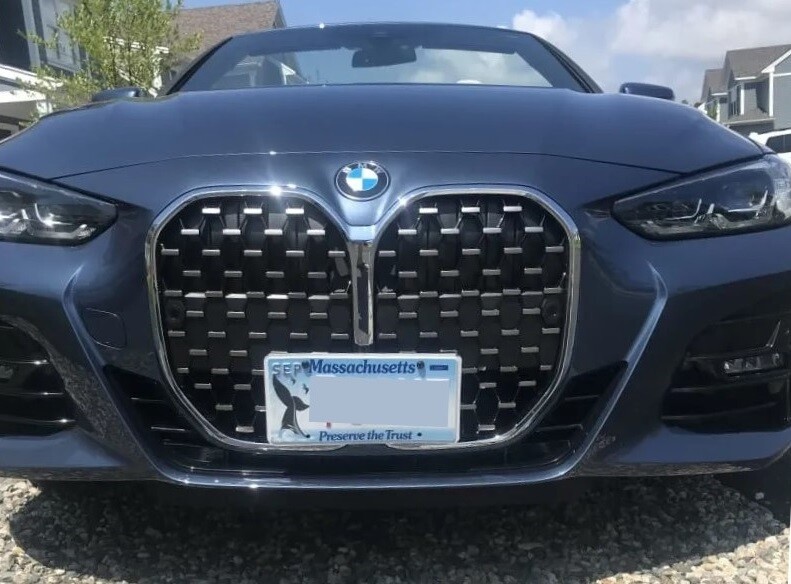 Sly Bracket for 430i with a mesh lower grille.