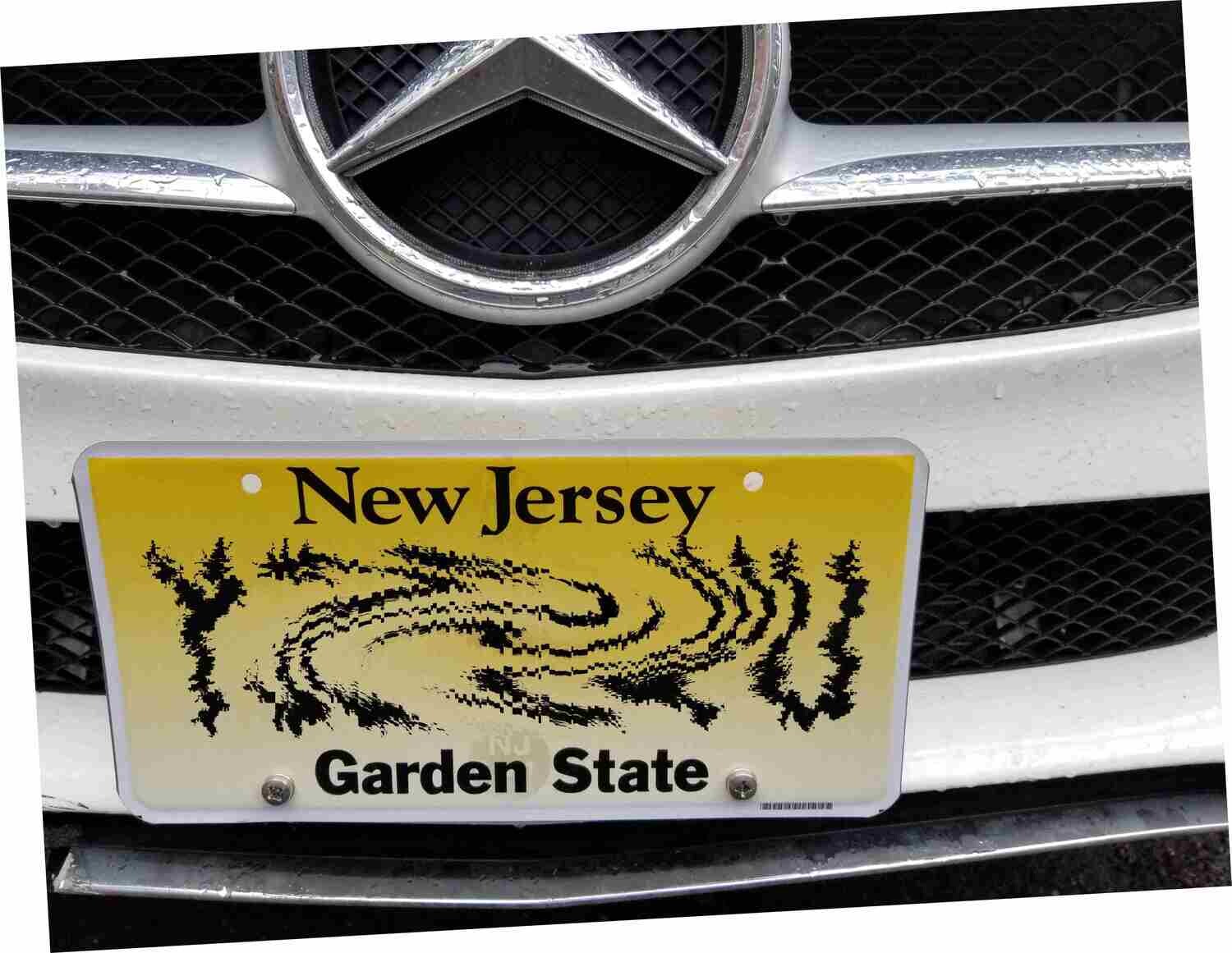Sly Bracket for Mercedes-Benz C300 with mesh lower grille.