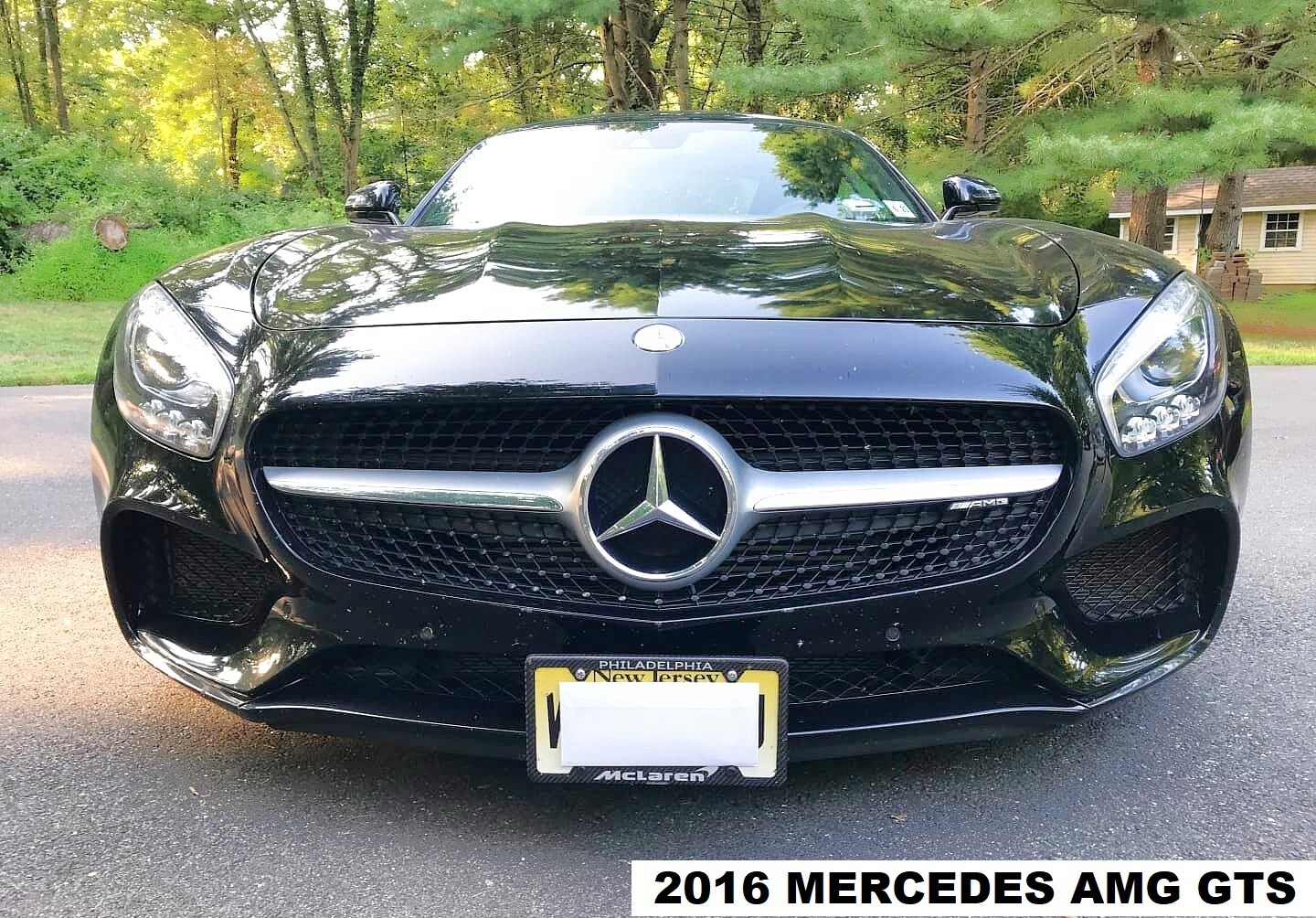 Sly Bracket for Mercedes-Benz AMG GTS with mesh lower grille.