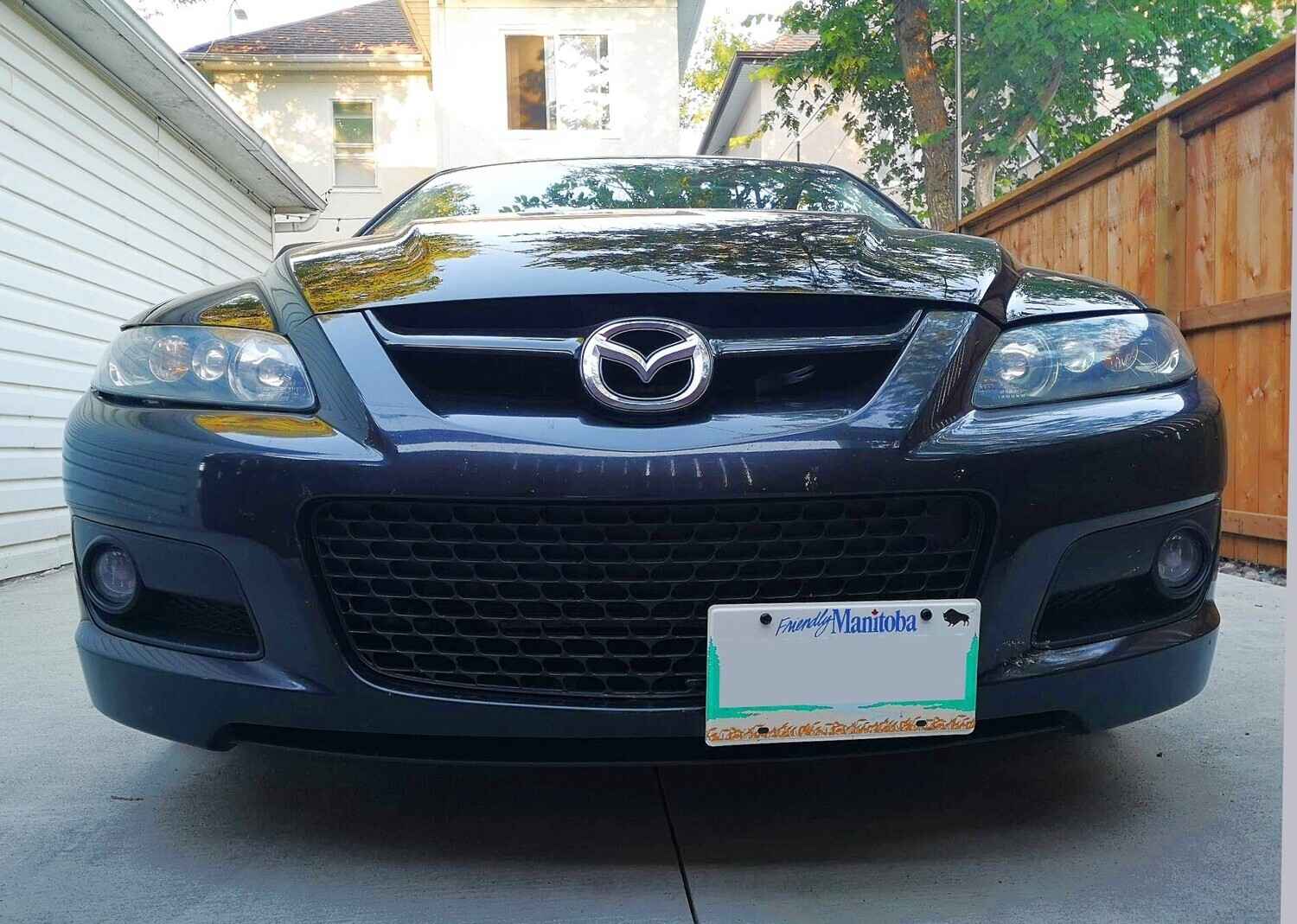 Sly Bracket fits Mazda models with mesh-style lower grille.