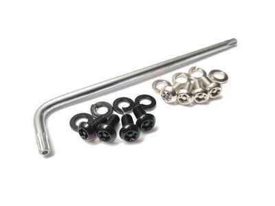 T30 Key Wrench with Tamper Resistant License Plate Screws (4)