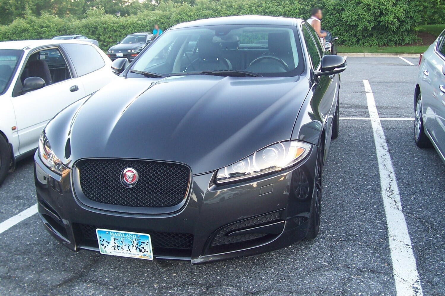 Sly Bracket for Jaguar models with mesh-style lower grille.