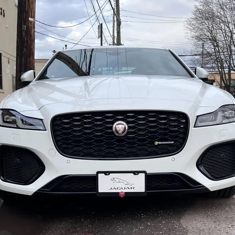 Sly Bracket for Jaguar models with mesh-style lower grille.