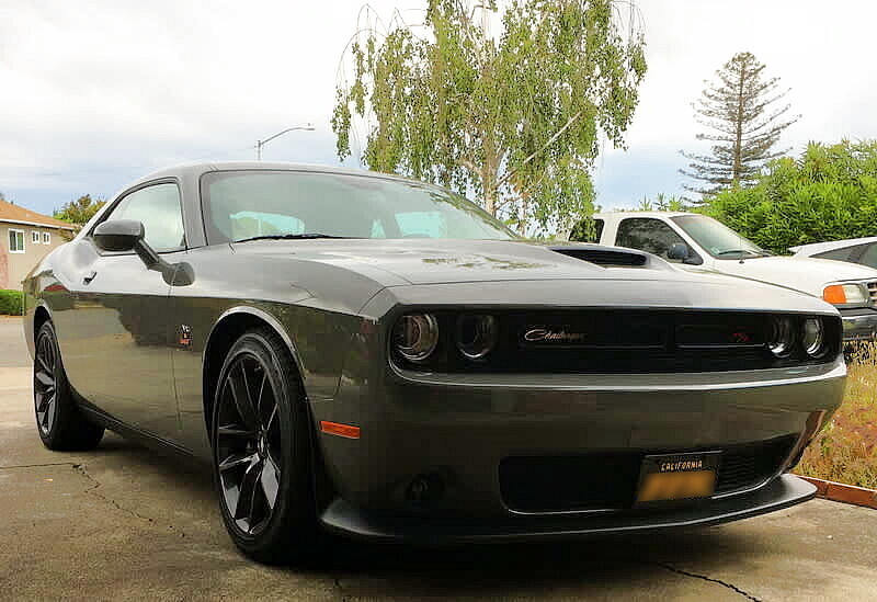Sly Bracket for Dodge Challenger with mesh-style lower grille.