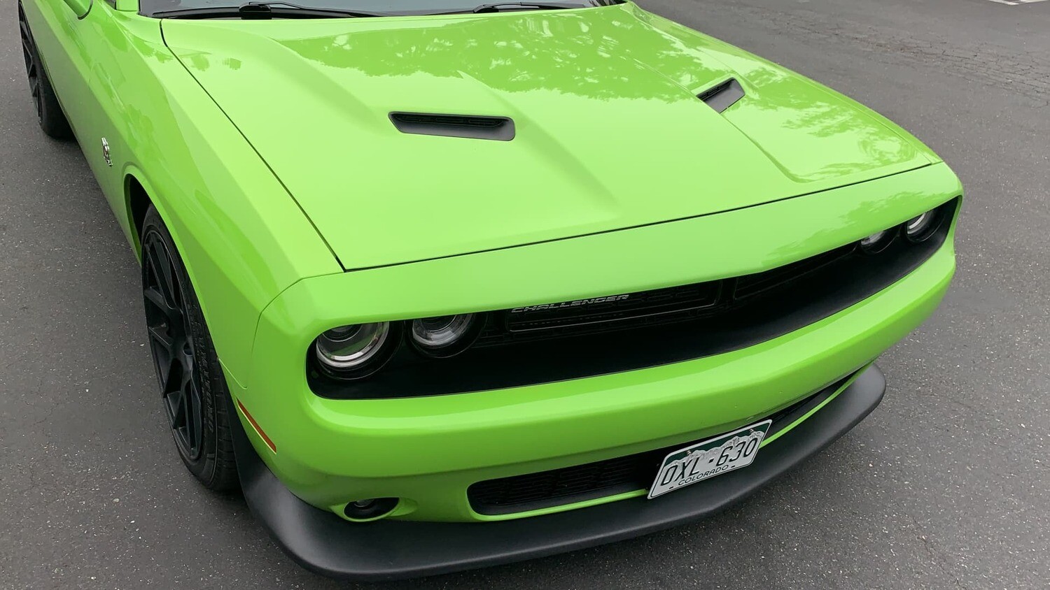 Sly Bracket for Dodge Challenger with mesh-style lower grille.
