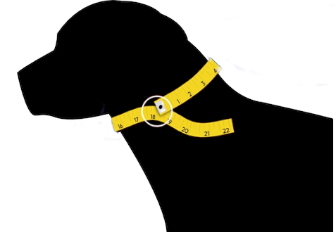 Paracord Dog Collars Paracord Dog Collars