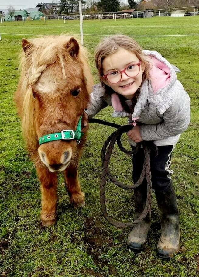 Der Ponyclub - Pferdegestützte Frühförderung für Kinder