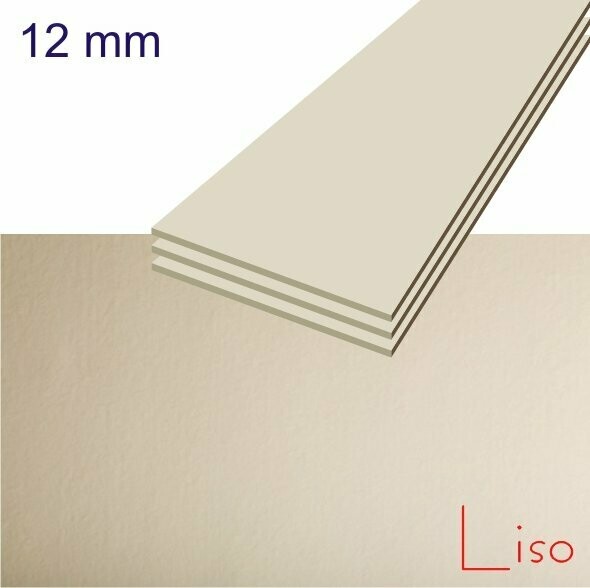 CEMPANEL LISO NATURAL, 12 mm de 1.22 m x 2.44 m