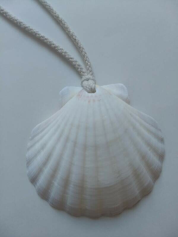 Jacobsschelp (met of zonder katoenen koord)