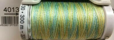 Sulky Cotton Thread - 4013