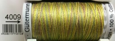 Sulky Cotton Thread - 4009