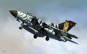 Hobbyboss 1/48 Tornado ECR