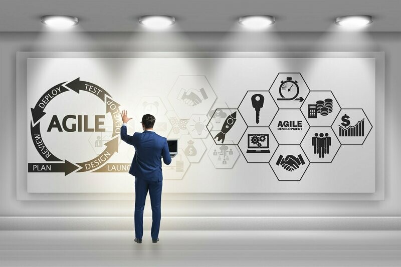 Curso Agile Coach - Online