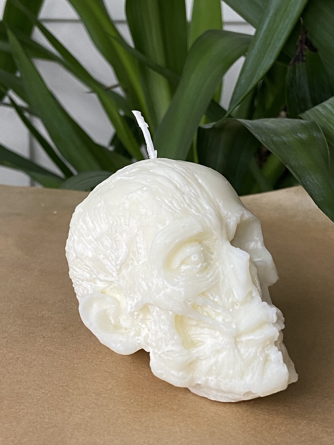 Muscular/Skeletal Head Soy Wax Candle